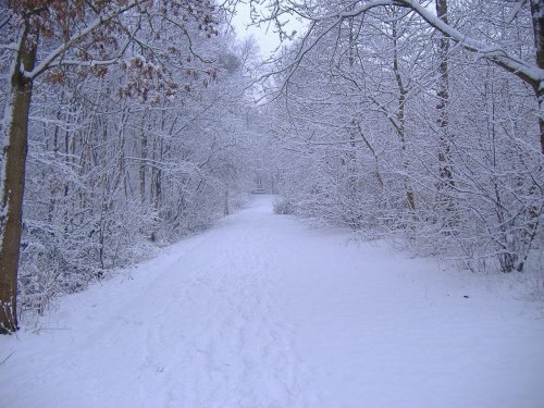 Itt a tél – Amon Amarth: Surtur Rising – Tales from Winter Wonderland V.